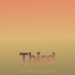 Third Investigate