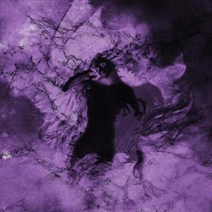 night live on (Explicit)