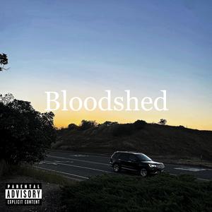 Bloodshed (Explicit)
