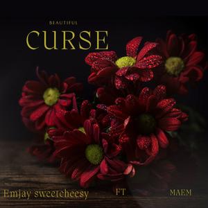 beautiful curse (Radio Edit)