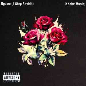 Nguwe (3 Step Revisit)