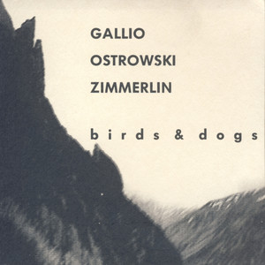 Birds & Dogs