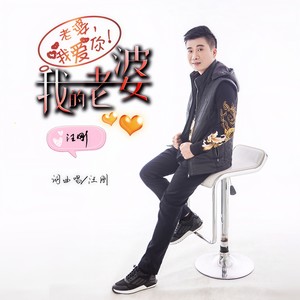 我的老婆 (DJ版)