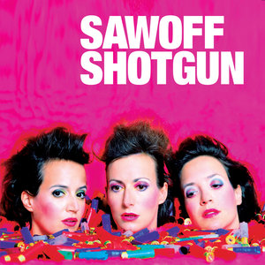 Sawoff Shotgun