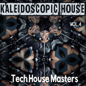 Kaleidoscopic House, Vol. 4 - Tech House Masters
