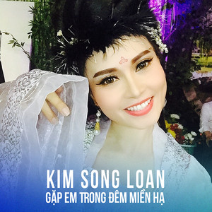 Gặp Em Trong Đêm Miền Hạ