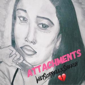 Attachments (feat. S.H.E.E.S.H)