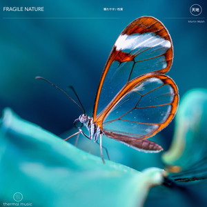 Fragile Nature