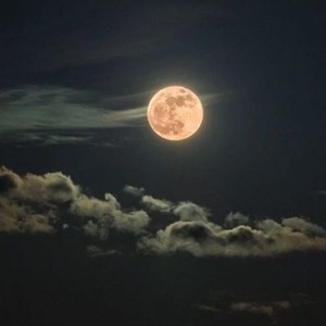 MoonKnight (feat. Melo Melo) (Explicit)