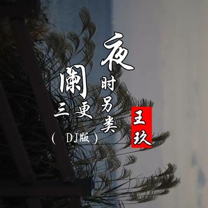 夜阑三更时另类 (DJ版)