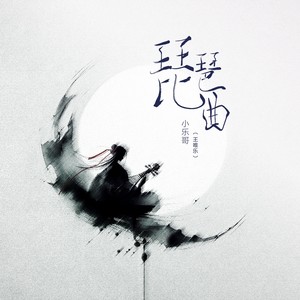 琵琶曲 (DJ细霖版)封面
