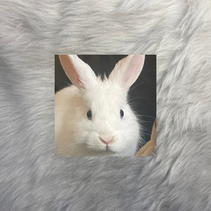 Portavoce (Explicit)
