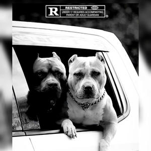 MONEY OTW (Explicit)