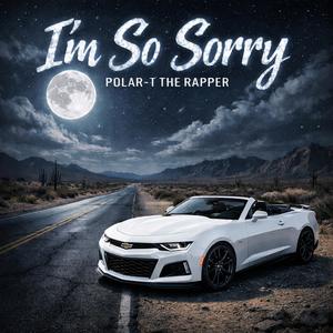 I'm So Sorry