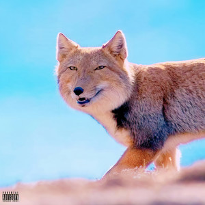 黄昭 - 唵嘛呢叭咪吽 (福克斯Diss)