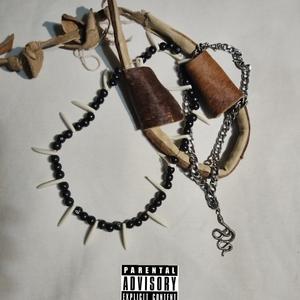 Ntando1dile unyoka - Seku njalo (Explicit)