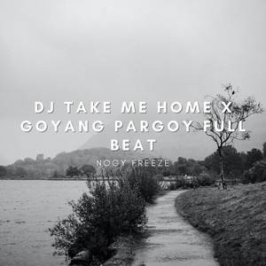 DJ Take Me Home x Goyang Pargoy Full Beat