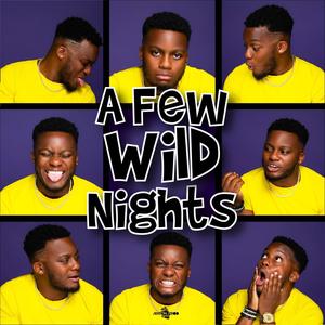 A Few Wild Nights (Explicit)