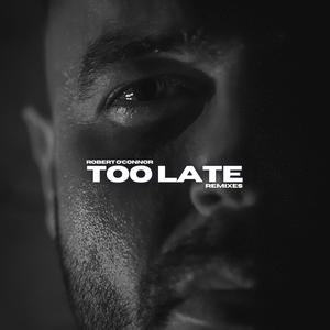 Too Late (feat. Gareth Shortland) (GMJS Instrumental)