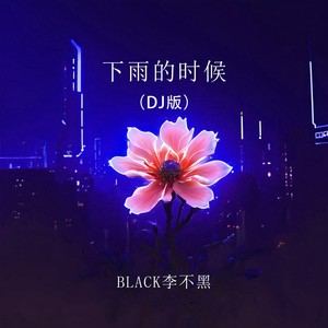 下雨的时候（DJ版）