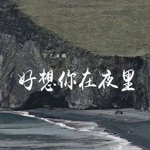 好想你在夜里