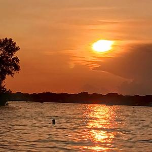 Pyrite (feat. Rinnegone & GPnova) (Explicit)