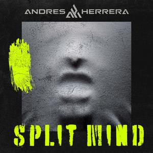 Split Mind