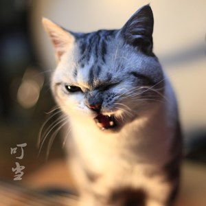 王涛 - 金属星球