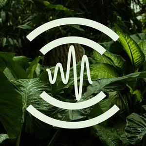 Synodic Moon 210.42Hz (98.6bpm) (feat. Morell)