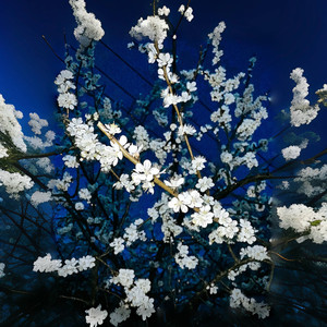 故事爱情 (李栁樺 remix)