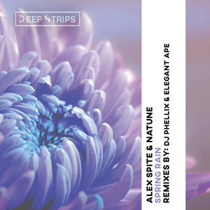 Spring Rain (Original Mix)