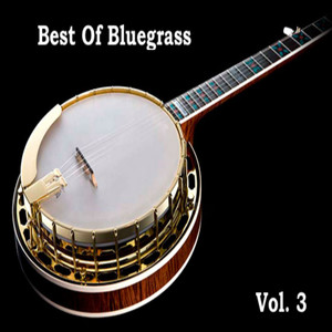 Best Of Bluegrass Vol. 3