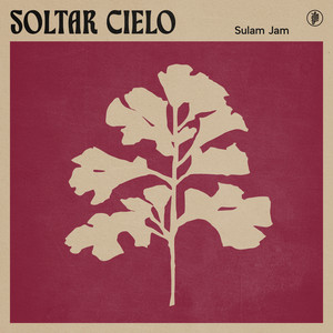 Vol. 8 - Soltar Cielo