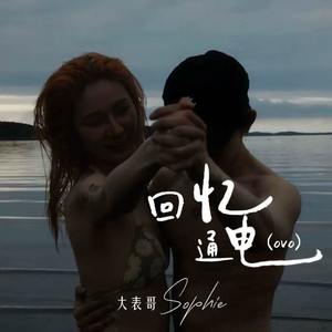 ovo (回忆通电)
