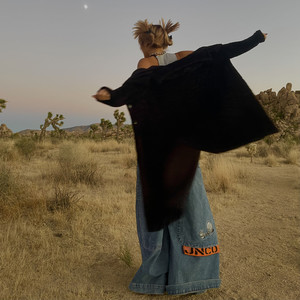 things i will never say (slowed)