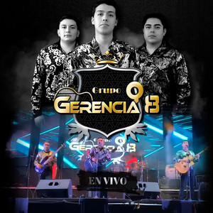 Grupo Gerencia 8 (En Vivo)