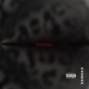 Animal (Explicit)