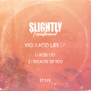 Vigi - Acid Lies (Original Mix)