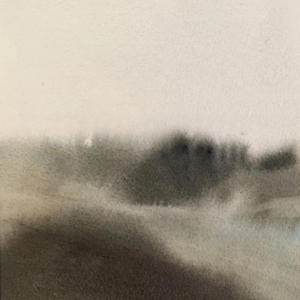 bak seat (feat. Yung Gwopp) (Explicit)