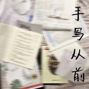 手写从前
