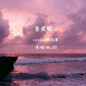 C 林三岁.