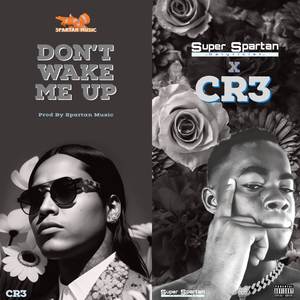 Don't Wake Me Up (Explicit)