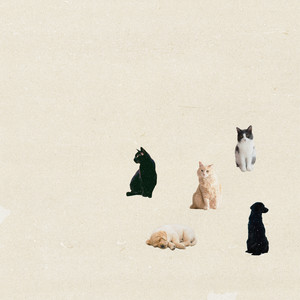Cats and dogs