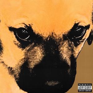 PuppyDog (Explicit)