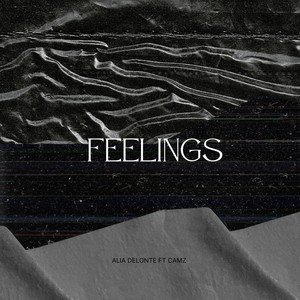 Feelings