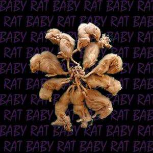 Rat Baby (Explicit)