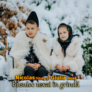 Busuioc uscat în grindă