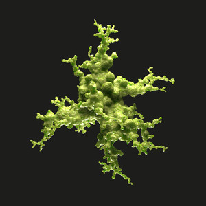 Our Last Night (Radio Edit)