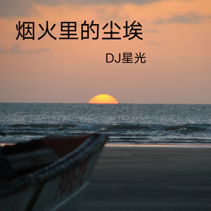 DJ星光 - 装什么大哥逞什么英雄啊