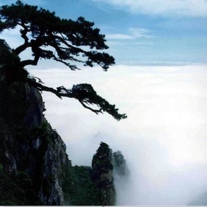 碗琴声声迎嘉宾